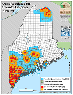 map of emerald ash borer quarantine in Maine